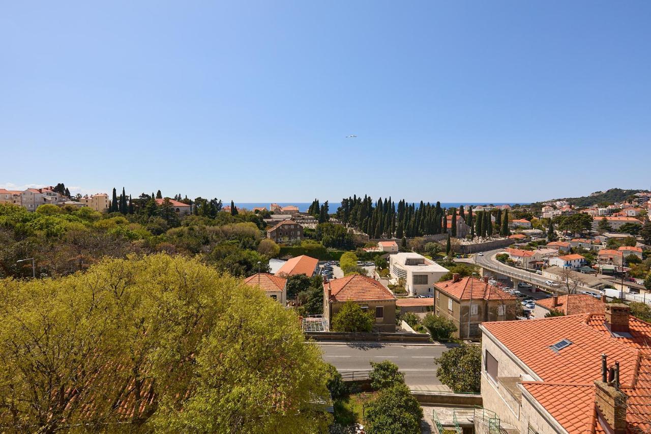 Terra * Dubrovnik